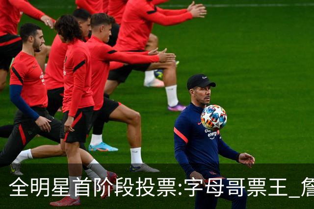 全明星首阶段投票:字母哥票王 詹姆斯西部票王